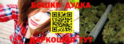 мдпв Гусь-Хрустальный