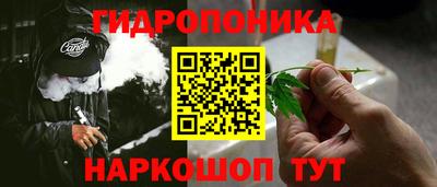 мдпв Гусь-Хрустальный